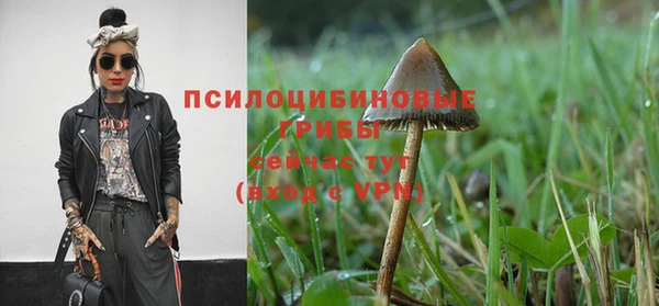 MDMA Premium VHQ Кулебаки