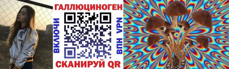 Купить  Сальск  Псилоцибиновые грибы Psilocybine cubensis 